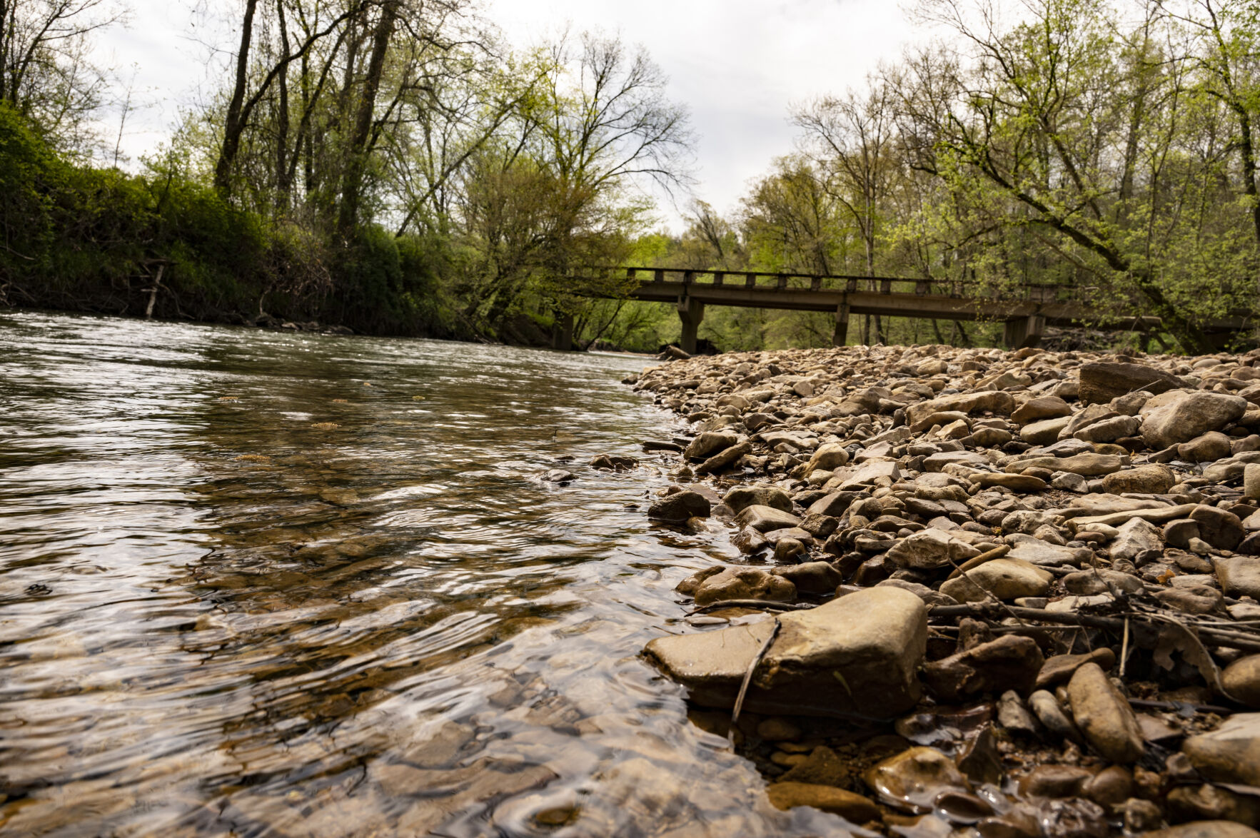 Trace Creek